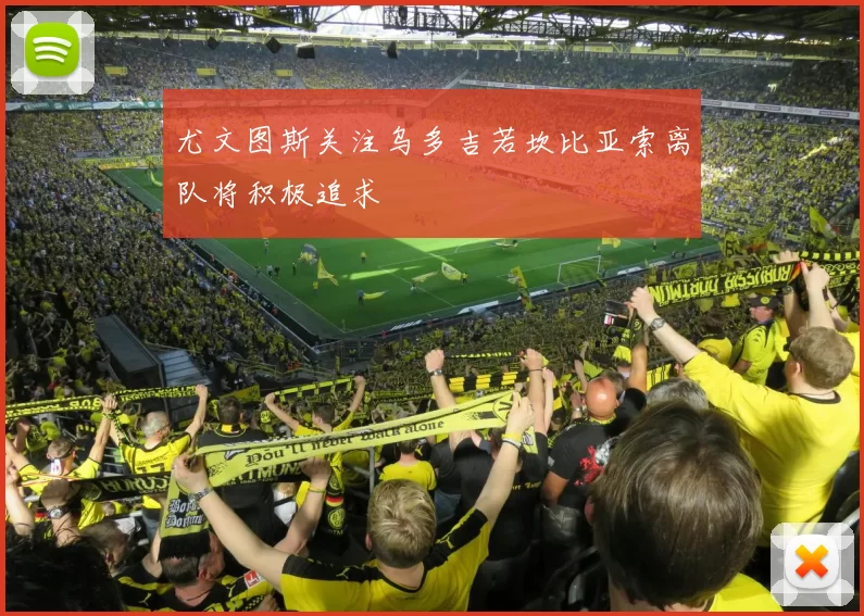尤文图斯关注乌多吉若坎比亚索离队将积极追求